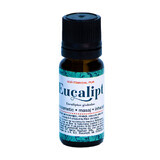 Eucalyptus etherische olie, 10 ml, Divine Star