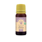 Sage essential oil 100% pure, 10 ml, Herbavit