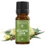 Etherische olie eucalyptus citronaat (M - 1326), 10 ml, Mayam