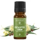 Etherische olie eucalyptus citronaat (M - 1326), 10 ml, Mayam