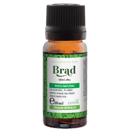 Pure essential oil of Brad, 10 ml, Divine Star