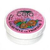 Calendula ointment with propolis, 20 g, Ceta Sibiu