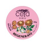 Regenerating ointment, 40 g, Ceta Sibiu