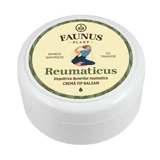 Reumazalf Aardboter en Tataneasa, 100ml, Faunus Plant