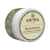 Rheumasalbe, 50 ml, Faunus Pflanze