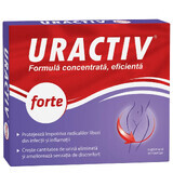 Uractiv forte, 10 capsule, Fiterman Pharma