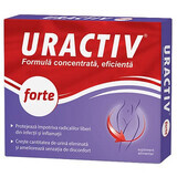 Uractiv forte, 20 capsule, Fiterman Pharma