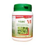 Vasc, 70 capsules, Favisan