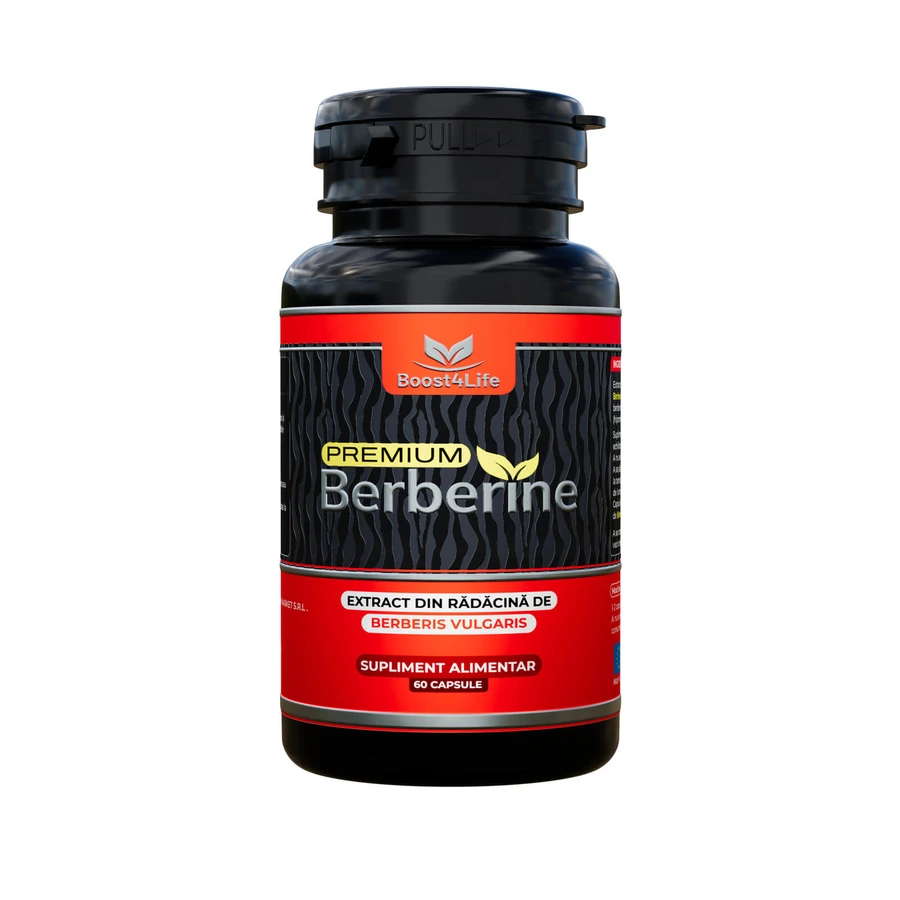 Berberine Premium 600 mg, 60 Kapseln, Boost4Life