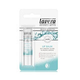 Sensitive Jojoba and Almond Lip Balm, 4.5 g, Lavera