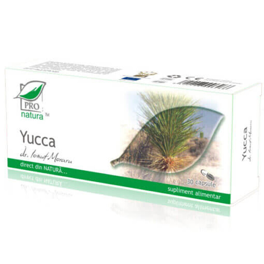 Yucca, 30 capsule, Pro Natura