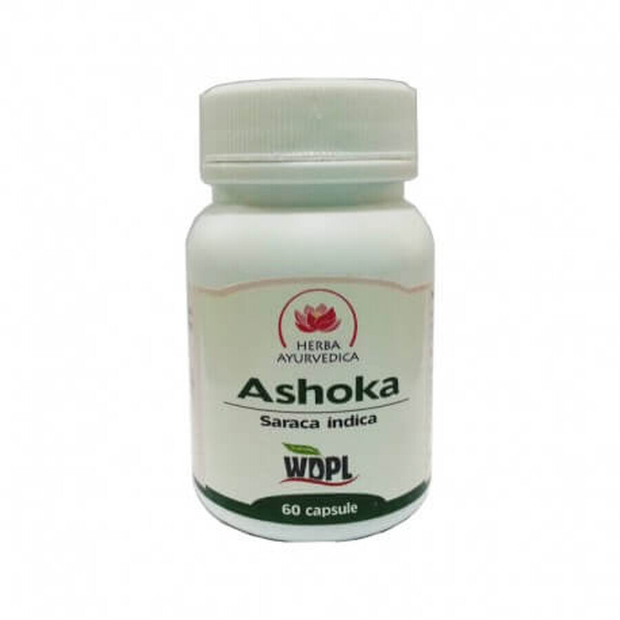 Ashoka, 60 capsules, Ayurvedisch Kruid