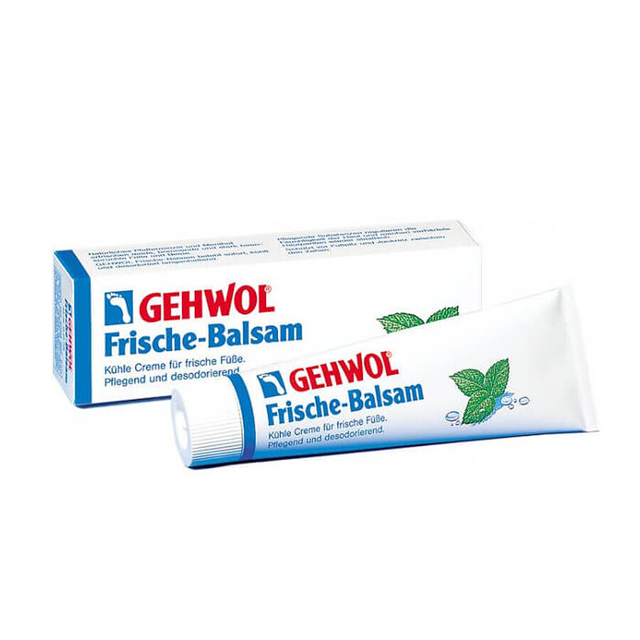 Balsamo Rigenerante e Rivitalizzante Gehwol 75ml