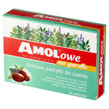 AMOLowe voor Keel, kruidenpastilles, 16 stuks