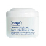 Ziaja, dermatologische basis met zinkoxide, 80 g