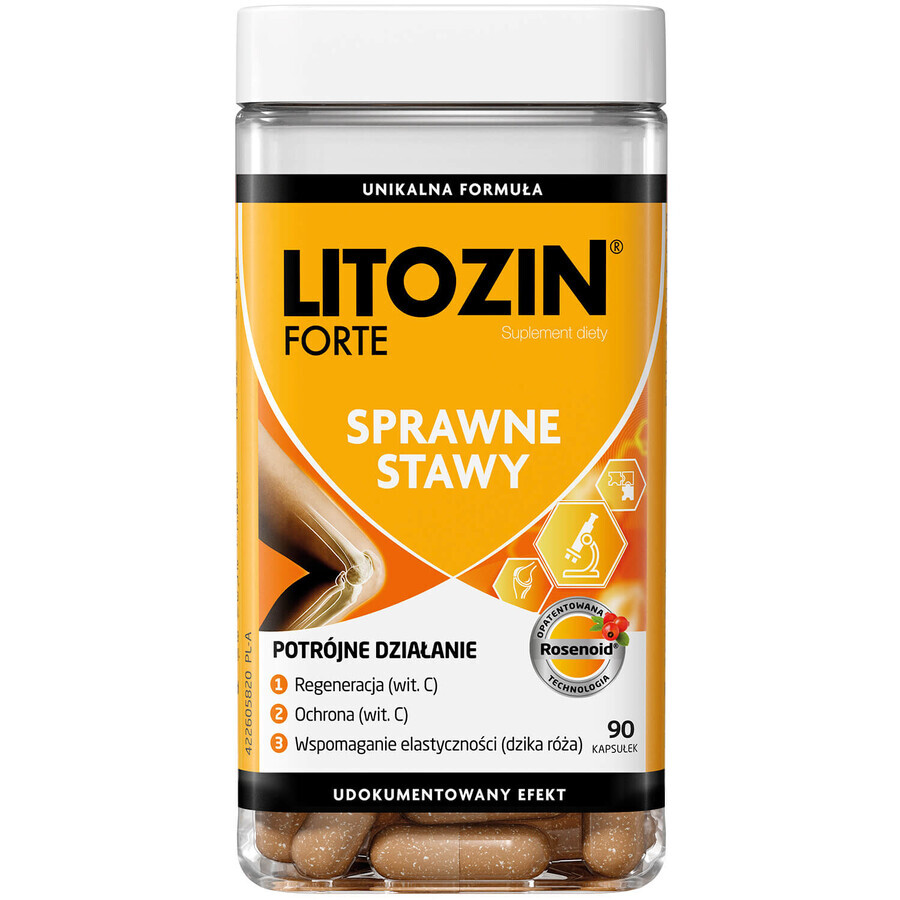 Litozin Forte, 90 capsule