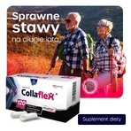 Collaflex, 120 Kapseln