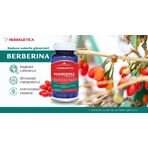 Bio-active Berberine, 60 capsules, Herbagetica