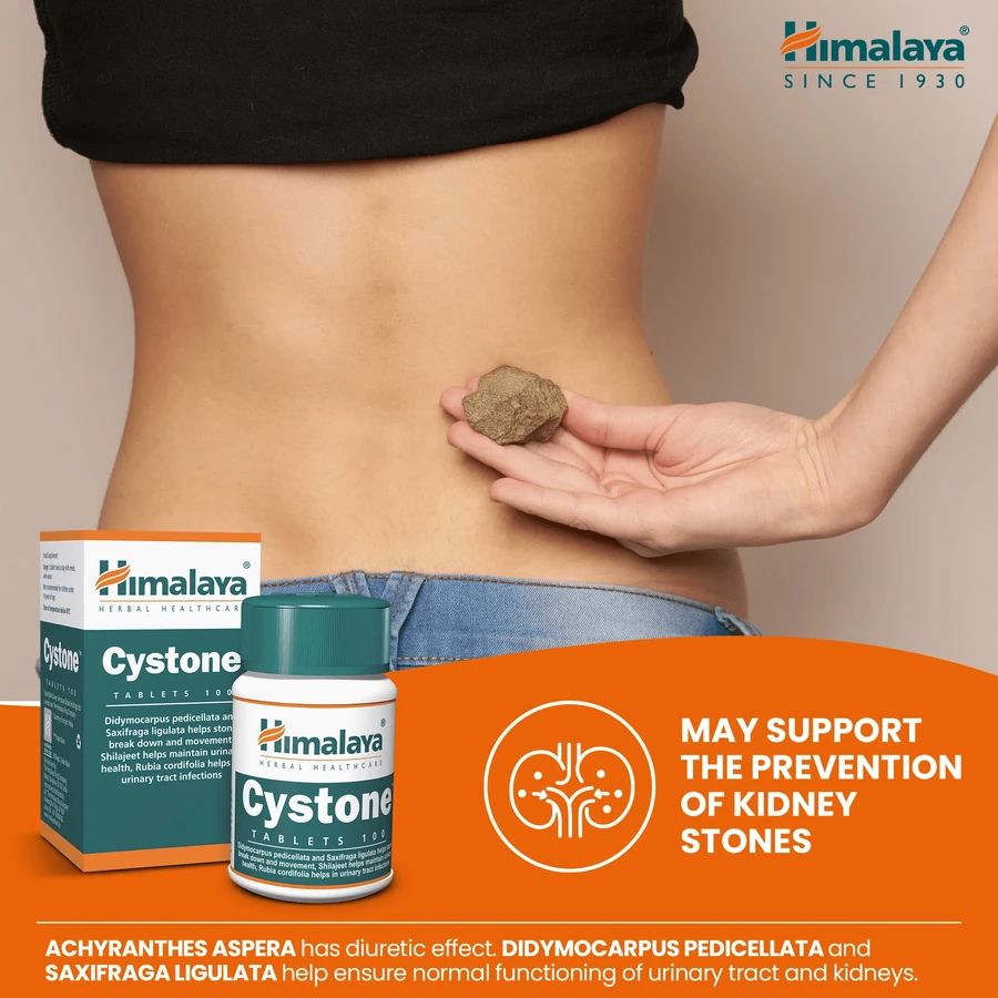 Himalaya Cystone, 100 tablets