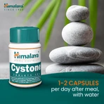 Himalaya Cystone, 100 tablets