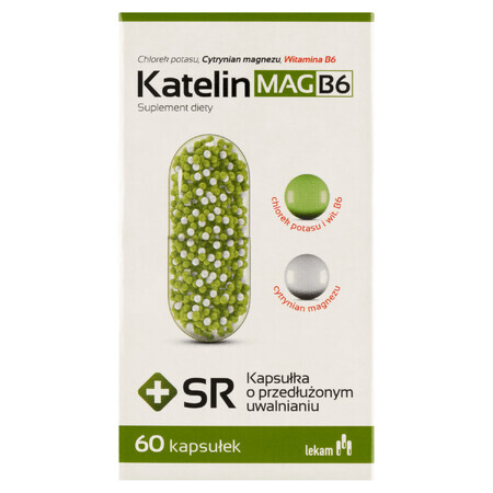 Katelin Mag B6, 60 capsules met verlengde afgifte