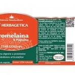 Bromelaïne en papaïne, 60 capsules, Herbagetica