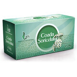 Mousetail Tea, 20 sachets, Larix