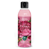 Barwa Naturalna, shampoo met pioenroos voor dun en dof haar, geeft volume, 300 ml