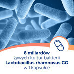 Dicoflor 6, 20 Kapseln, Probiotika für den Darm, hilft bei Verdauungsbeschwerden und stärkt die Darmflora. Ideal für die Gesundheit des Magen-Darm-Trakts.