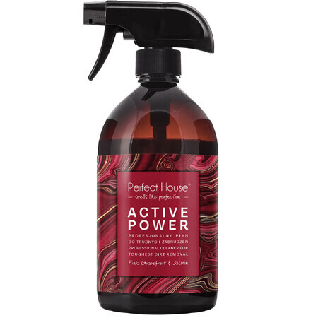 Casa Splendida, Detergente Attivo Activepower, 480 ml