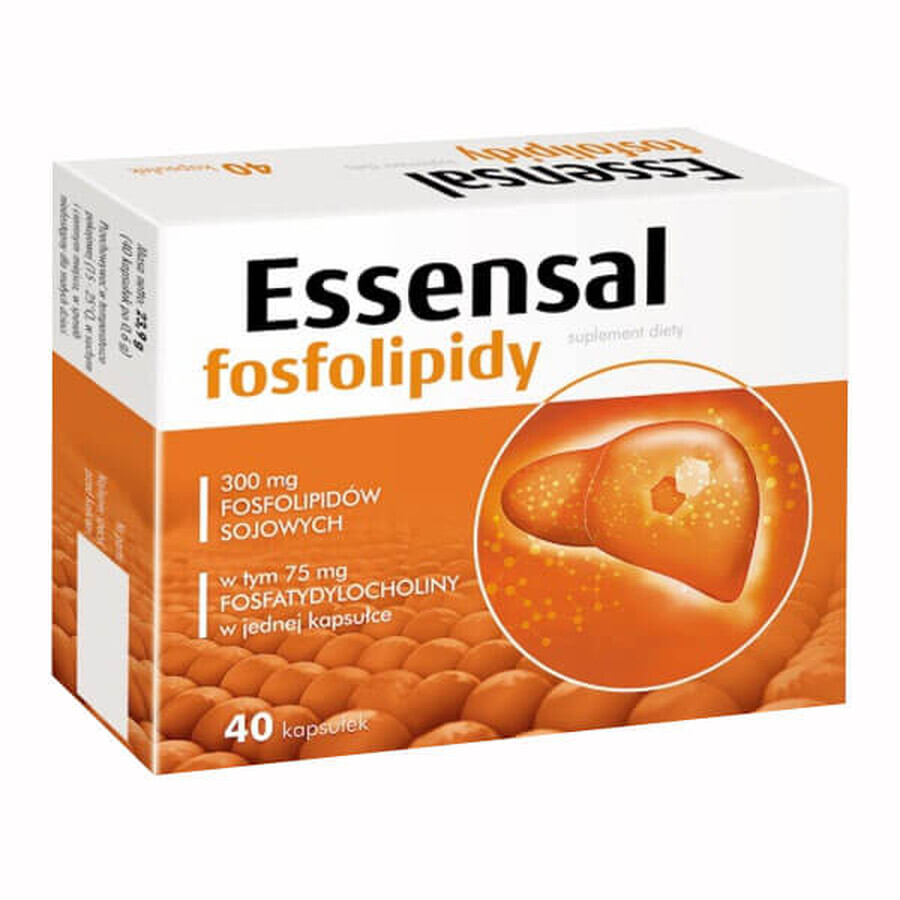 Essensal Fosfolipiden, 40 capsules