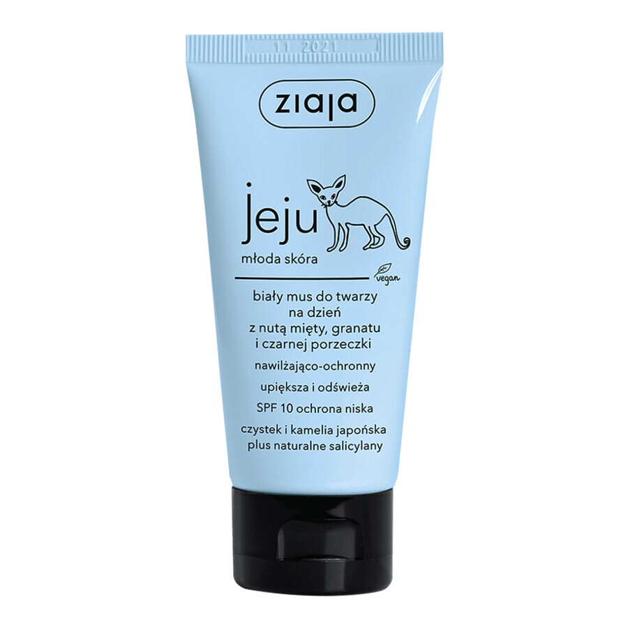 Ziaja Jeju, mousse visage blanche hydratante et protectrice pour le jour, avec une pointe de menthe, grenade et cassis, SPF 10, 50 ml