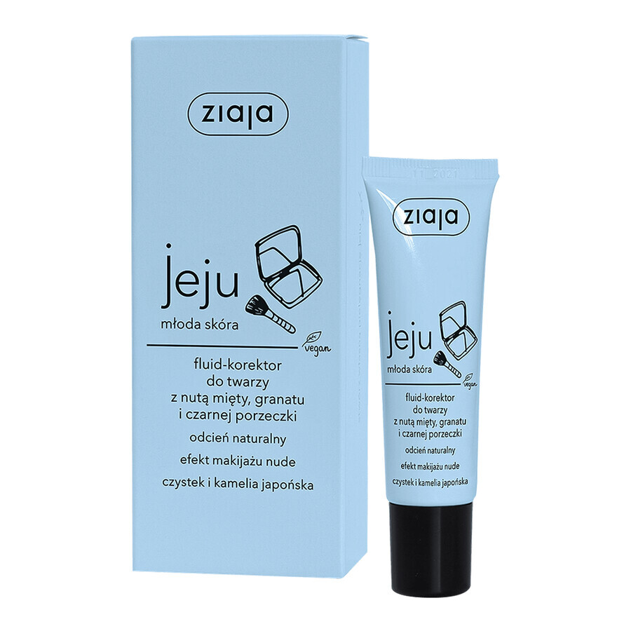 Correttore Fluido per il Viso Ziaja Jeju Pelle Giovane, 30 ml