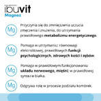 Ibuvit Magnesium, 30 tabletten met gereguleerde afgifte