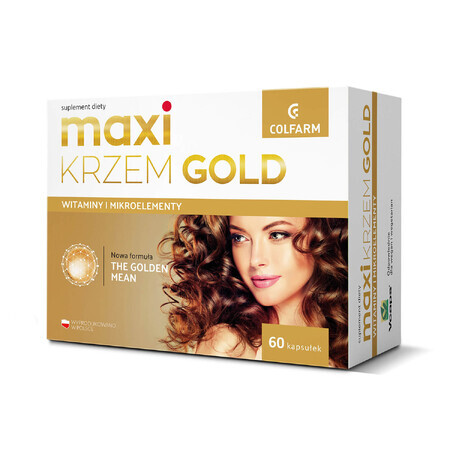 Maxi Silicon Goud, 60 capsules