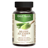 Avet Herbs Young Barley Fit, 60 capsules