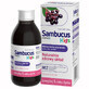 Sambucus Kids, siroop voor kinderen vanaf 1 jaar, frambozensmaak, 120 ml KORTE SLUITING