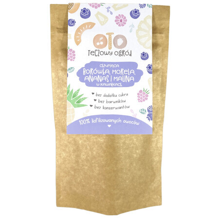 OtoLandia OTO Rainbow Garden Crunchy blueberries, apricots, pineapples, freeze-dried raspberries, in pieces, 20 g