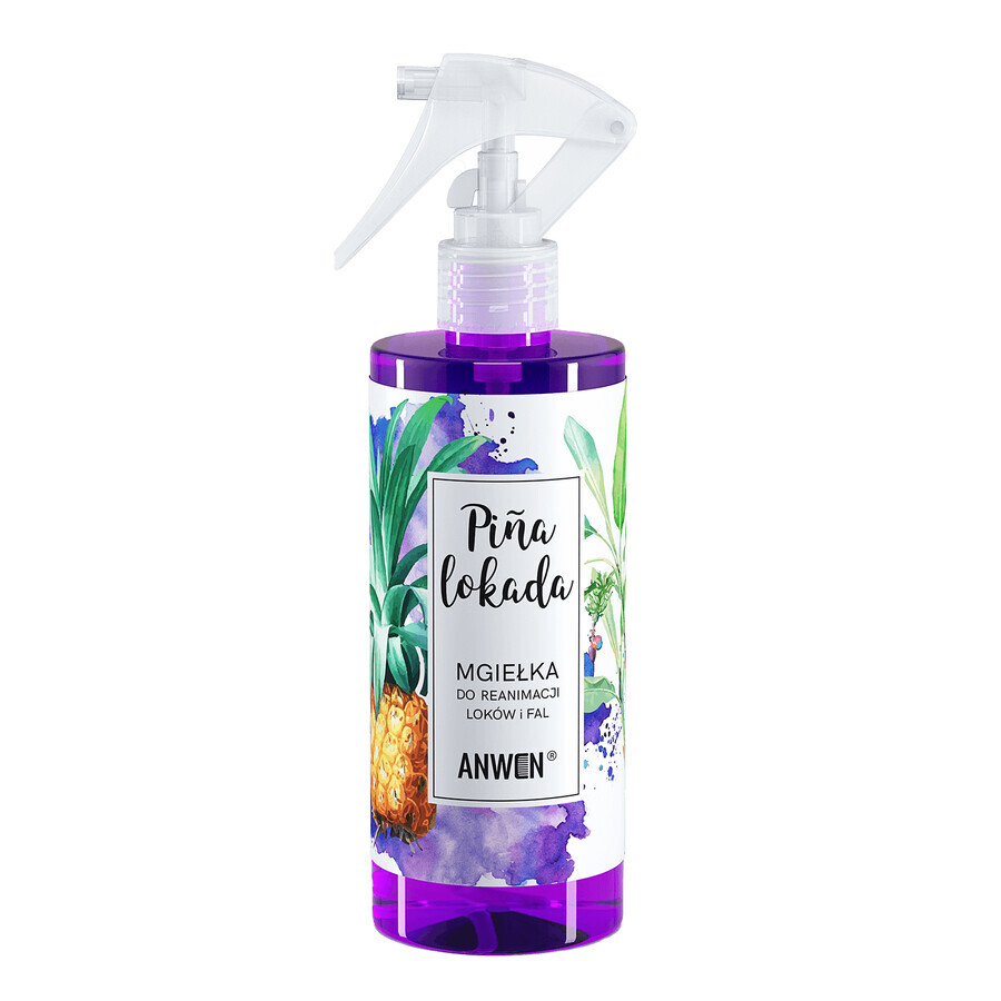 Anwen Pinalocade, krul en golf reanimatie mist, 300 ml