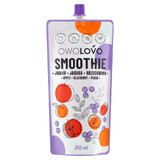 Owolovo Smoothie in een tube, appel, bosbes, perzik, 250 ml