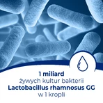 Dicoflor Babyset, voor zuigelingen en kinderen, druppels, 2 x 5 ml