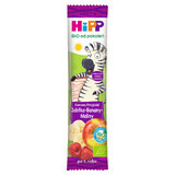 HiPP BIO Fruit Friend Bio bar, apple, banana, raspberry, after 1 year, 23 g