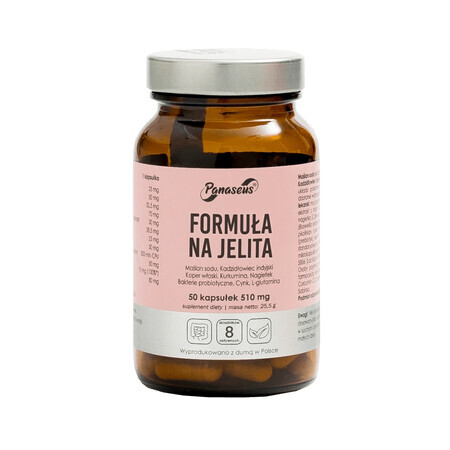 Panaseus Bowel Formula, 50 gélules