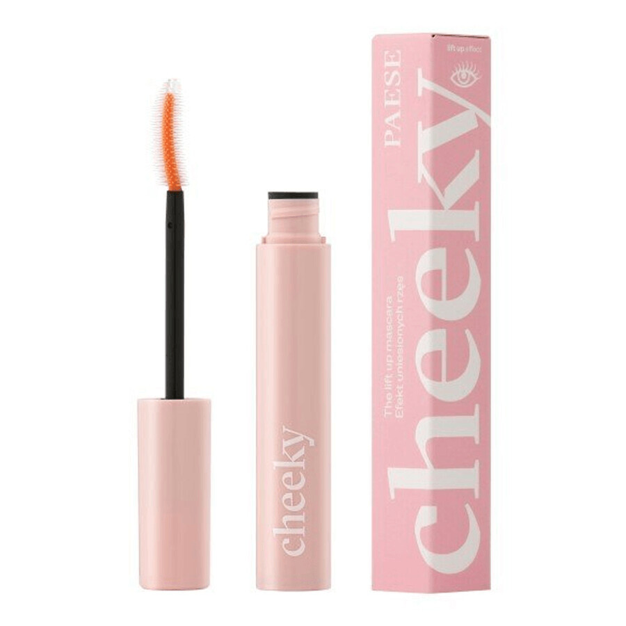 Paese Eyestory set, mascara, 9 ml + wenkbrauwzeep, 8 g + borsteltje, 1 stuk