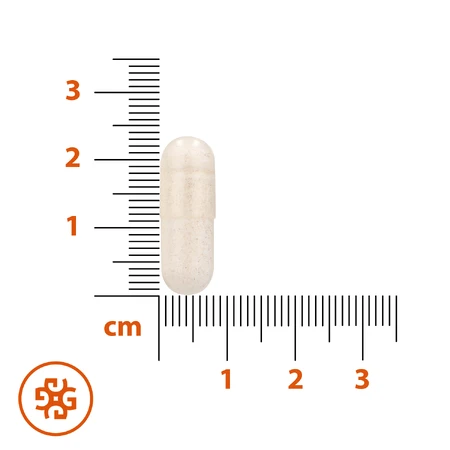 SEMA Lab Butyrate de sodium Max 300 mg, 60 gélules à libération retardée