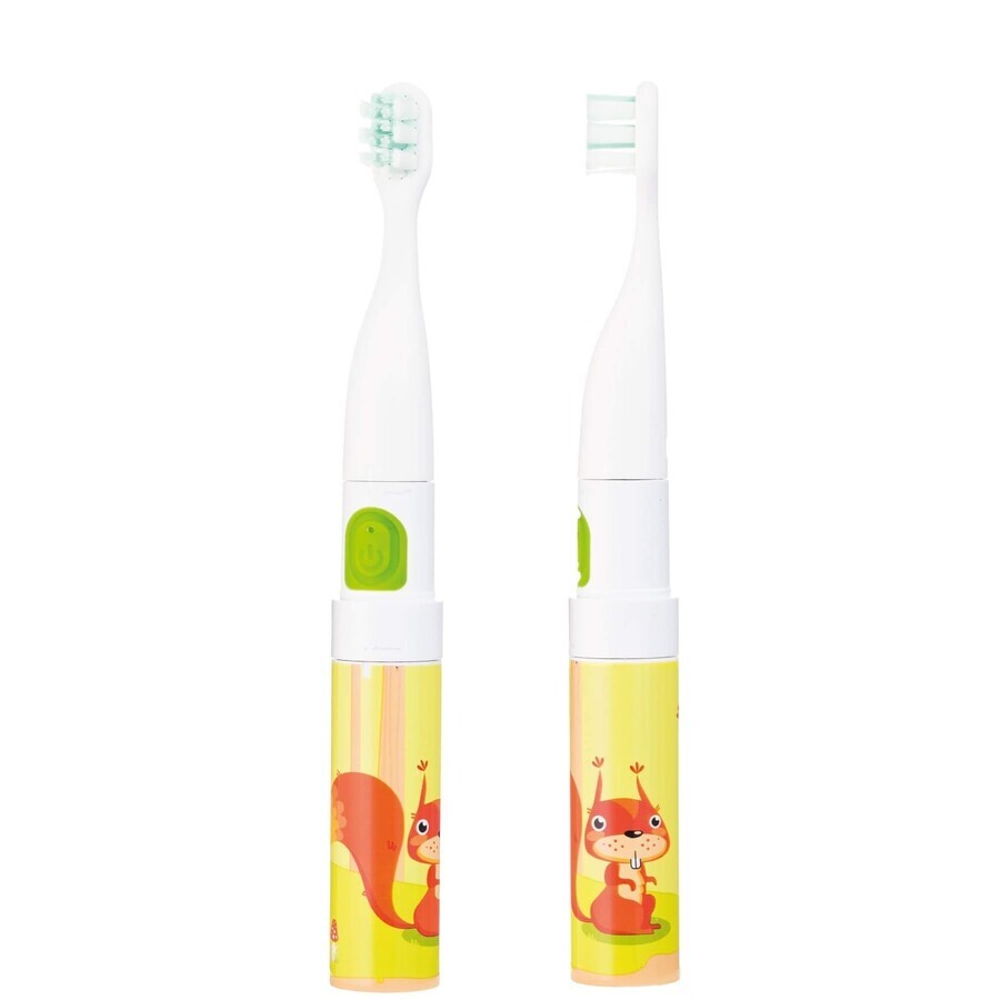 Vitammy Smile set, periuță de dinți sonică pentru copii, veveriță + Dodo Memo Gooseberry, joc, 24 cărți