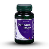 DVR-Stem Neuro, 60 Kapseln, Dvr Pharm