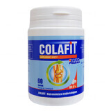 GorVita Colafit, 60 blokjes