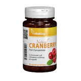 Extrait de cerise canadienne, 90 capsules, Vitaking