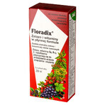 Floradix Iron &amp; Vitamins, 250 ml